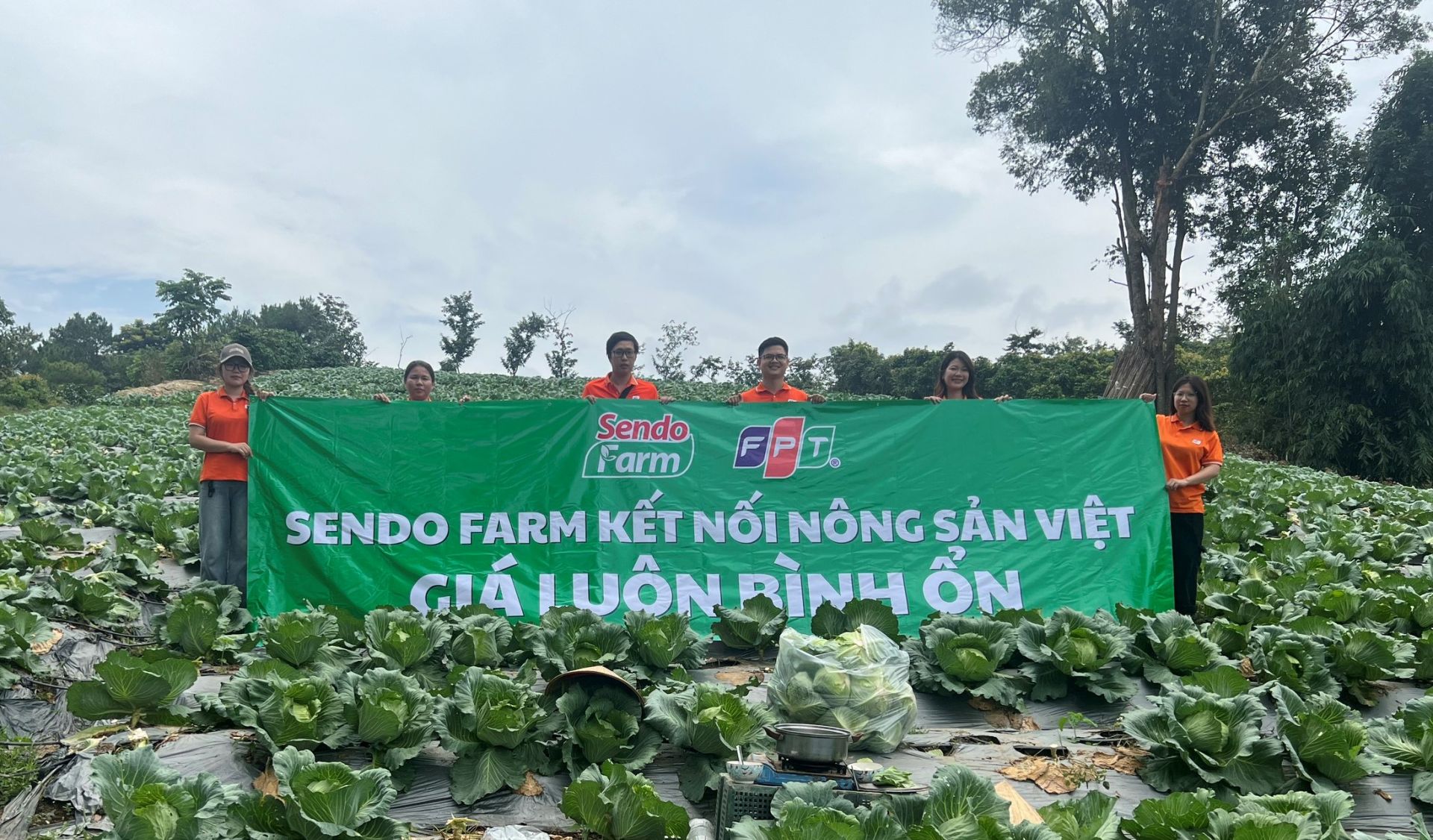 Nguồn hàng tươi sạch, an toàn chuẩn VietGap được Sendo Farm kiểm tra chất lượng