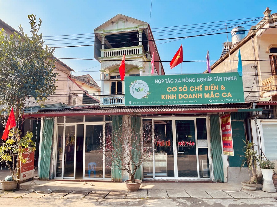 Xưởng chế biến Macca Hạnh Phúc Xưởng chế biến Macca Hạnh Phúc