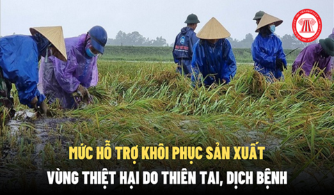 Đồng Tháp ban hành, quy định mức hỗ trợ sản xuất nông nghiệp do thiên tai, dịch bệnh