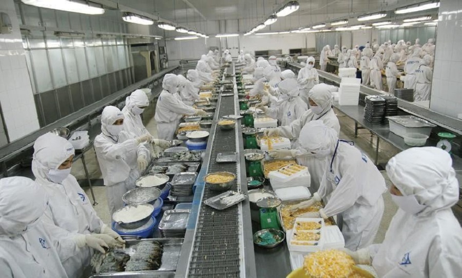 Trong quý III/2025, Sao Ta ghi nhận 2.984 tỷ đồng doanh thu thuần, tăng 5% so với cùng kỳ