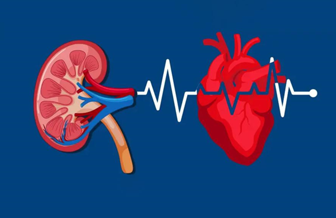 Suy thận dẫn đến biến chứng tim mạch