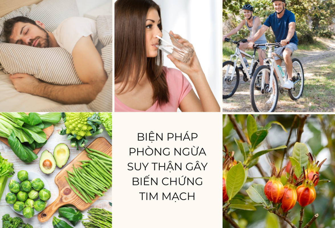 Biện pháp phòng ngừa suy thận gây biến chứng tim mạch