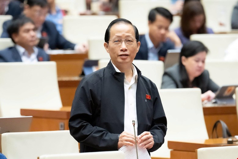 Đại biểu Nguyễn Trúc Sơn (Đoàn ĐBQH tỉnh Vĩnh Long) phát biểu