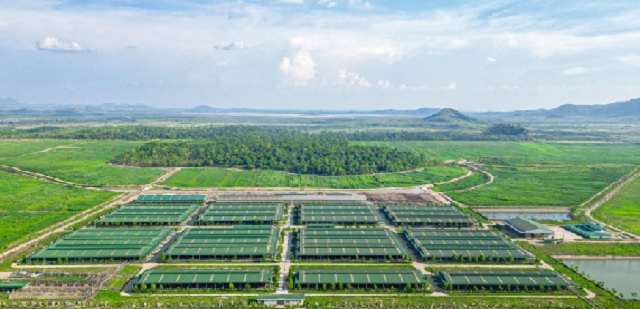 Phối ảnh Dự án trang trại chăn nuôi bò thịt của THACO AGRI. Ảnh: THACO