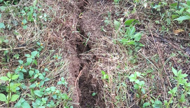 Nhiều vết nứt mới độ d&agrave;i từ 800-1000m dọc theo sườn n&uacute;i.