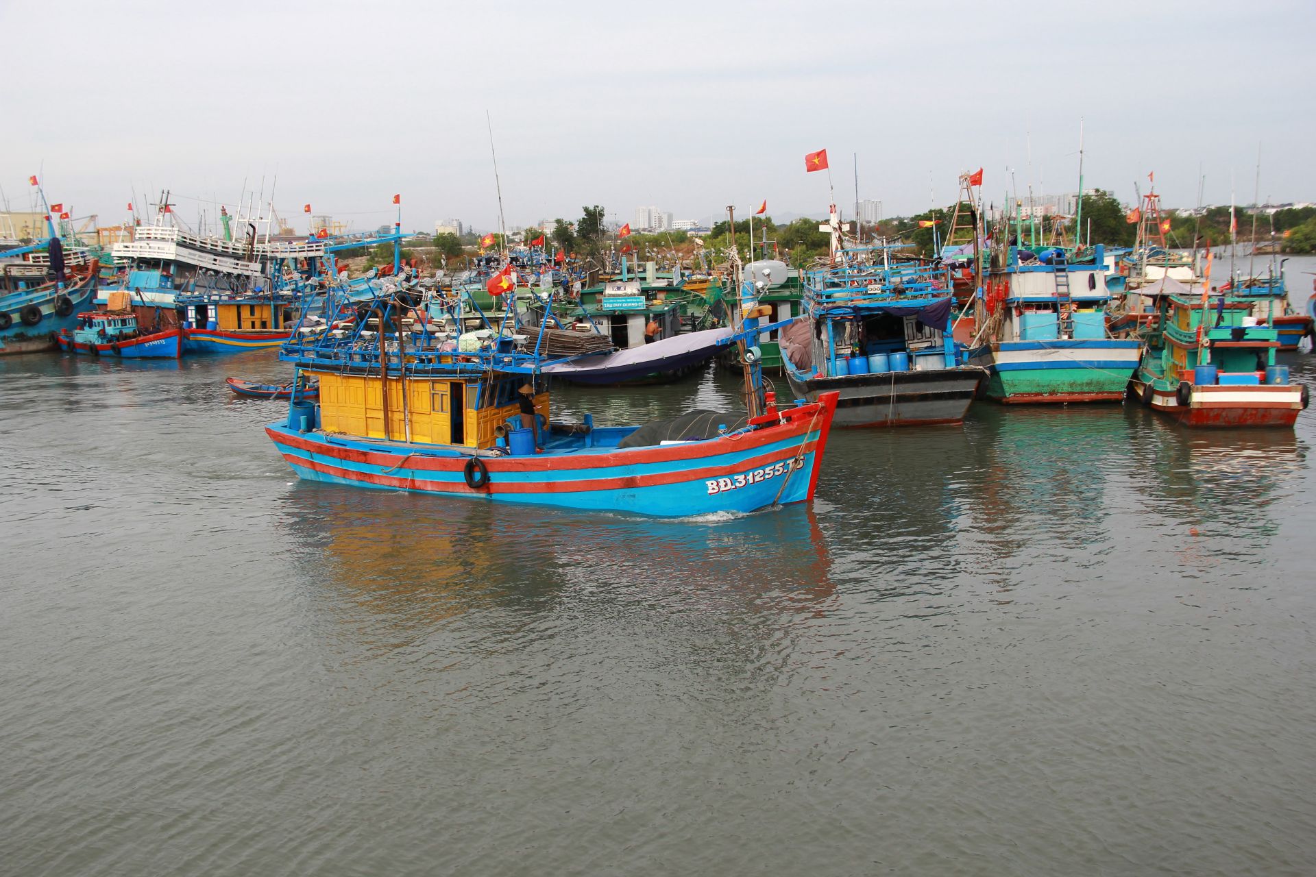 Tàu cá tại phường Vũng Tàu, TP. HCM