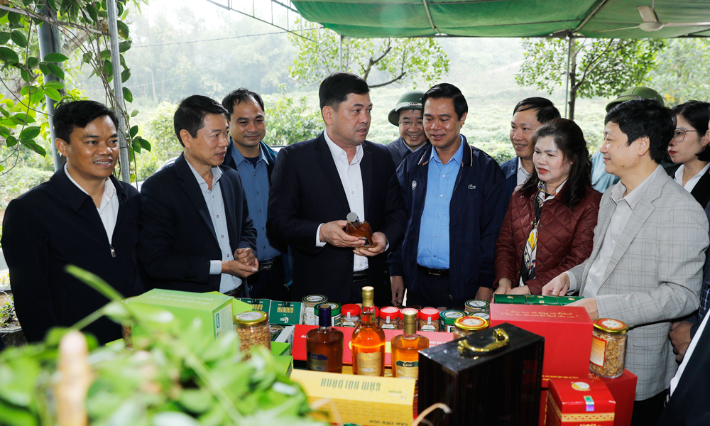 Bí thư Tỉnh ủy Bắc Ninh Nguyễn Hồng Thái thăm mô hình sản xuất nông nghiệp tiêu biểu