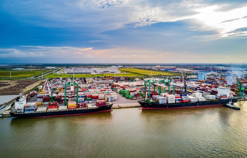 Cảng Xanh VIP tạm ứng cổ tức năm 2025 với tỷ lệ 20% bằng tiền