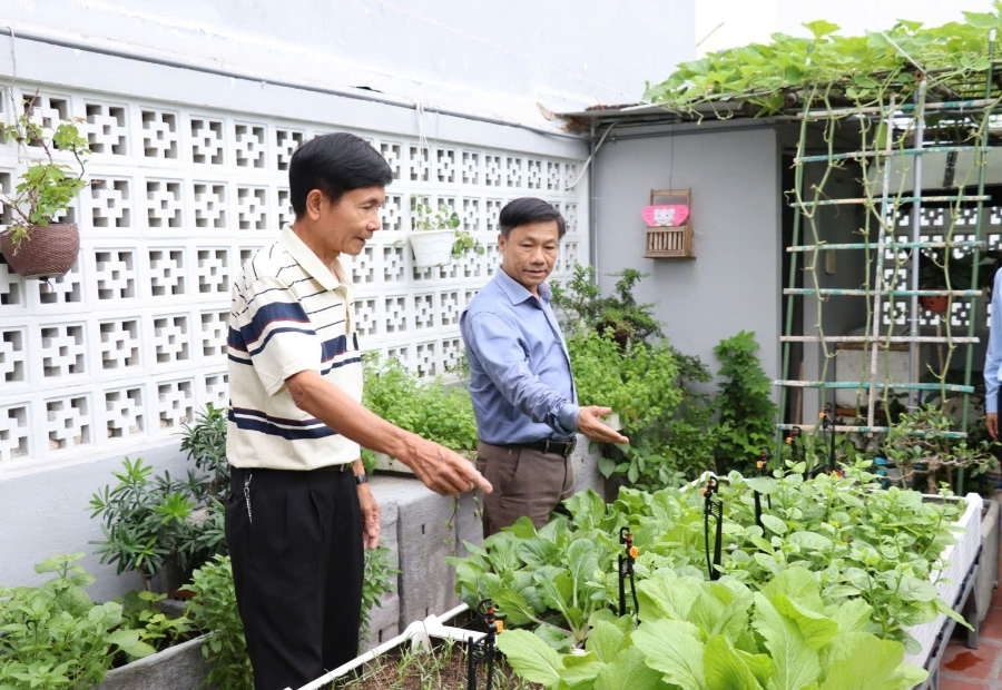 Nông nghiệp đô thị mở ra không gian xanh và thực phẩm sạch