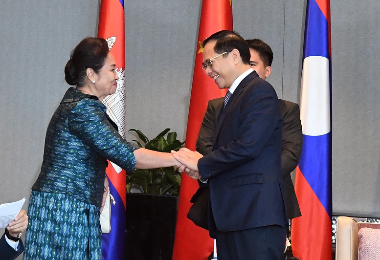 Phó Thủ tướng tiếp các trưởng đoàn dự Hội nghị Bộ trưởng các nước Tiểu vùng sông Mekong mở rộng về phòng, chống mua bán người lần thứ 6 - Ảnh: VGP/Hải Minh