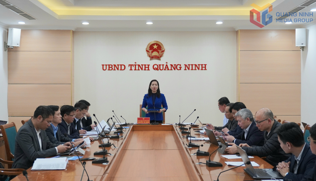 Bà Nguyễn Thị Hạnh, Phó Chủ tịch UBND tỉnh Quảng Ninh phát biểu chỉ đạo tại buổi làm việc.