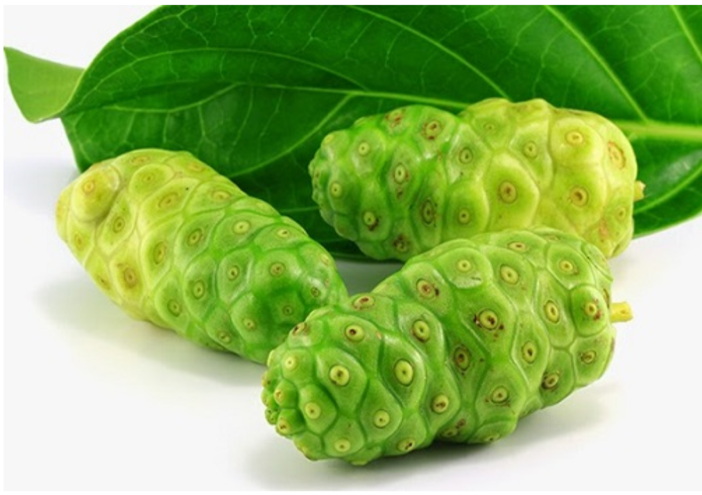 Cao Nhàu giúp giảm tình trạng ngứa về đêm hiệu quả Cao Nhàu giúp giảm tình trạng ngứa về đêm hiệu quả