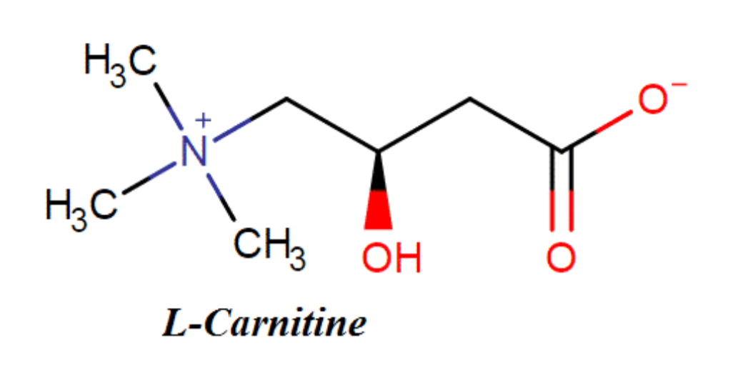 L- Carnitine fumarate giúp tái tạo da, ngăn cơn ngứa về đêm tái phát L- Carnitine fumarate giúp tái tạo da, ngăn cơn ngứa về đêm tái phát
