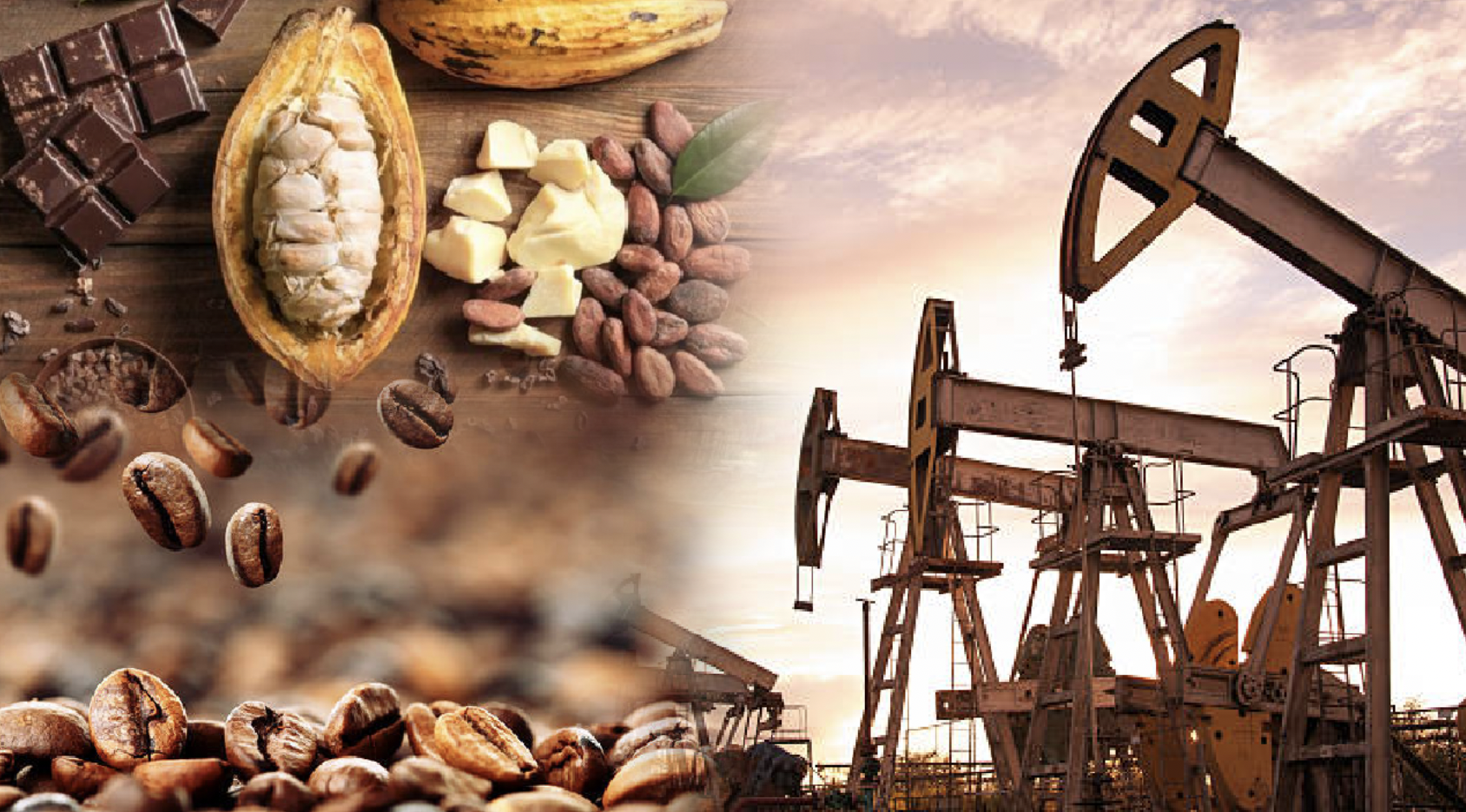 Thị trường hàng hóa đảo chiều: Giá ca cao tạo đáy, dầu thô mất đà