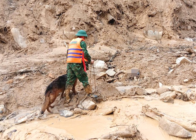 Các tổ chuyên môn cũng triển khai chó nghiệp vụ để dò tìm dấu vết xung quanh, đồng thời flycam liên tục bay quét từ trên cao. Các tổ chuyên môn cũng triển khai chó nghiệp vụ để dò tìm dấu vết xung quanh, đồng thời flycam liên tục bay quét từ trên cao.