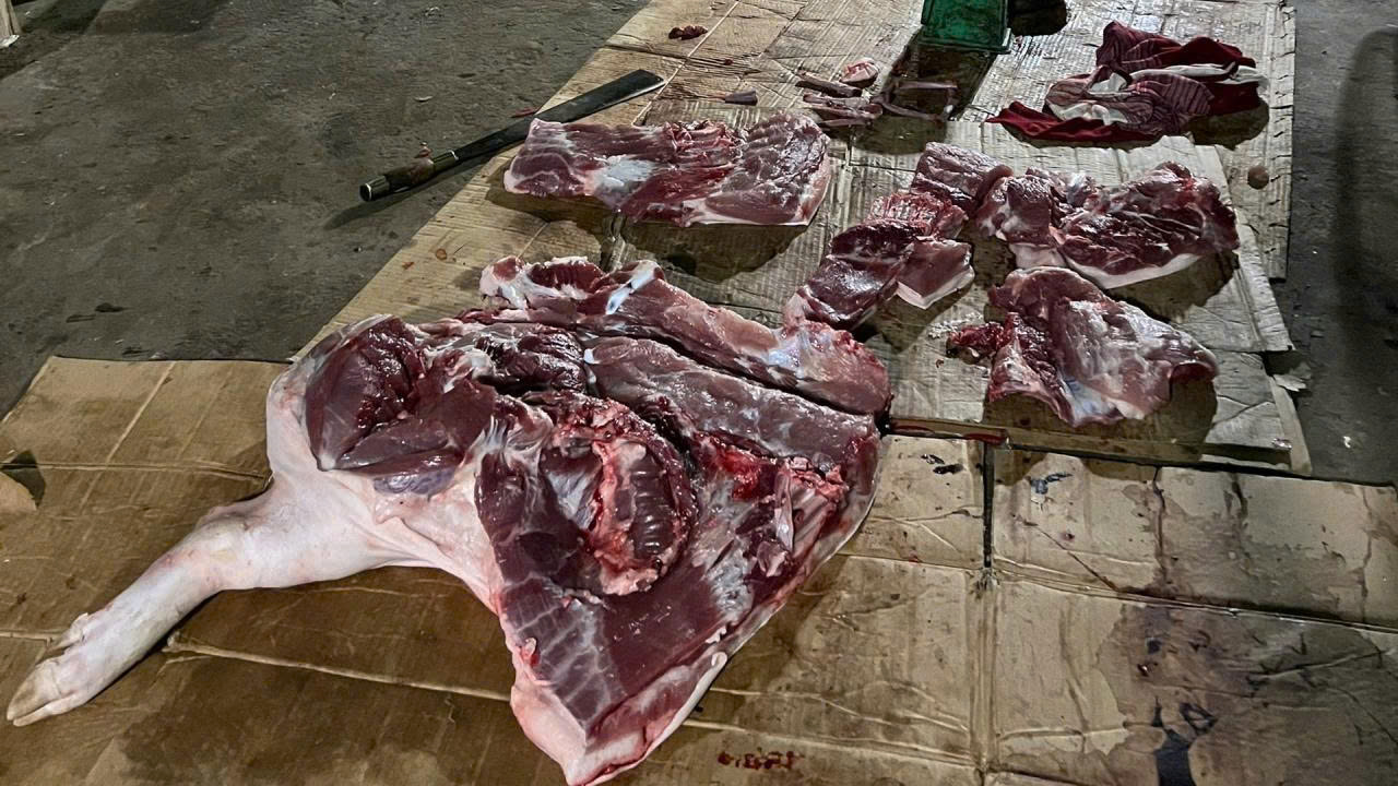 đường dây giết mổ và tiêu thụ lợn bệnh hoạt động có tổ chức, do Lê Mạnh Đáng (SN 1990, trú tại xã Thọ Bình) điều hành