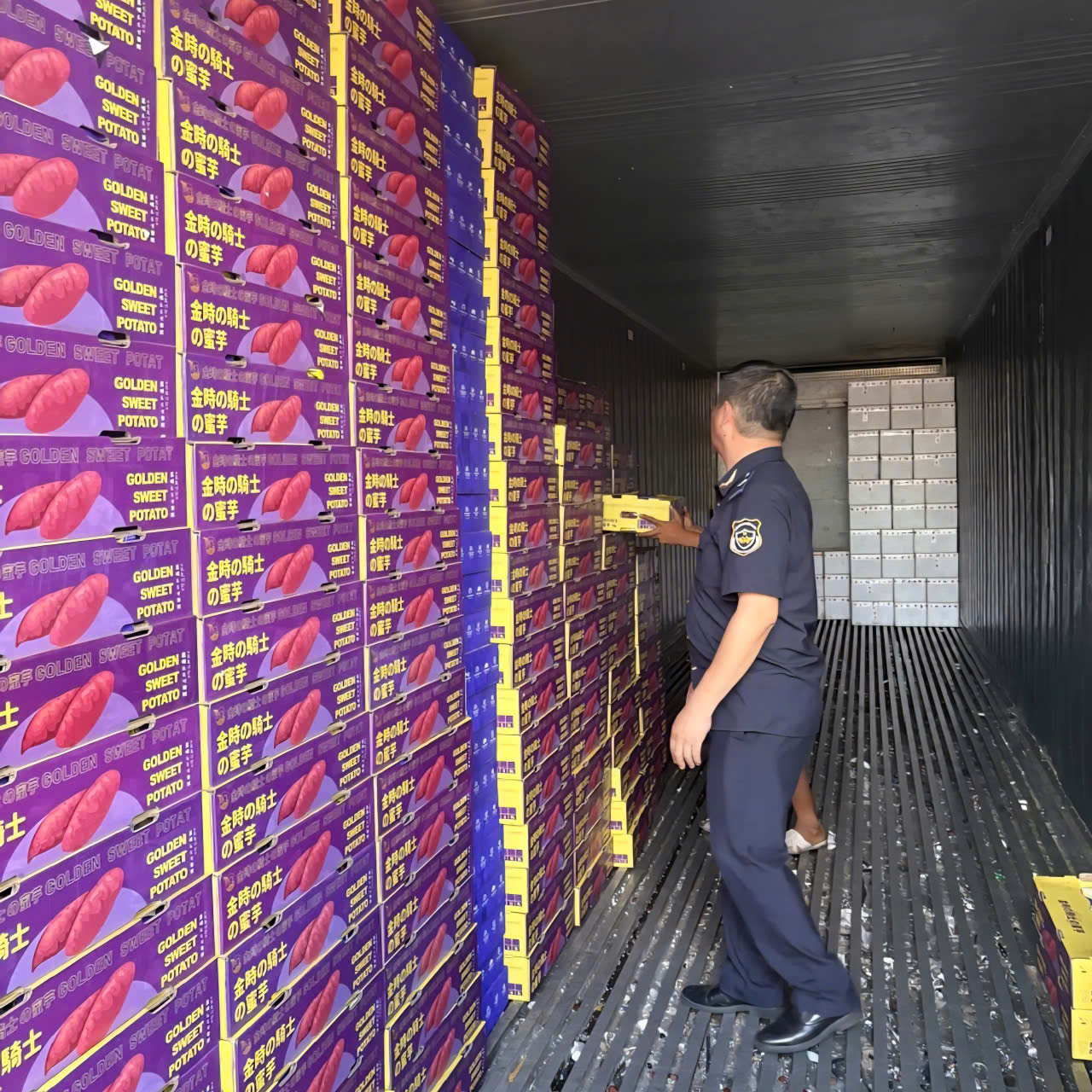 Công chức Hải quan khu vực VII kiểm tran hàng hóa