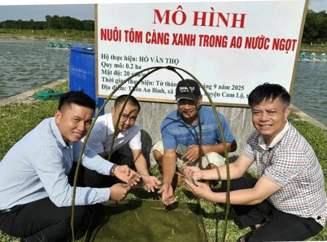 Quảng Trị đẩy mạnh nuôi tôm công nghệ sinh học, hướng tới sản xuất bền vững.