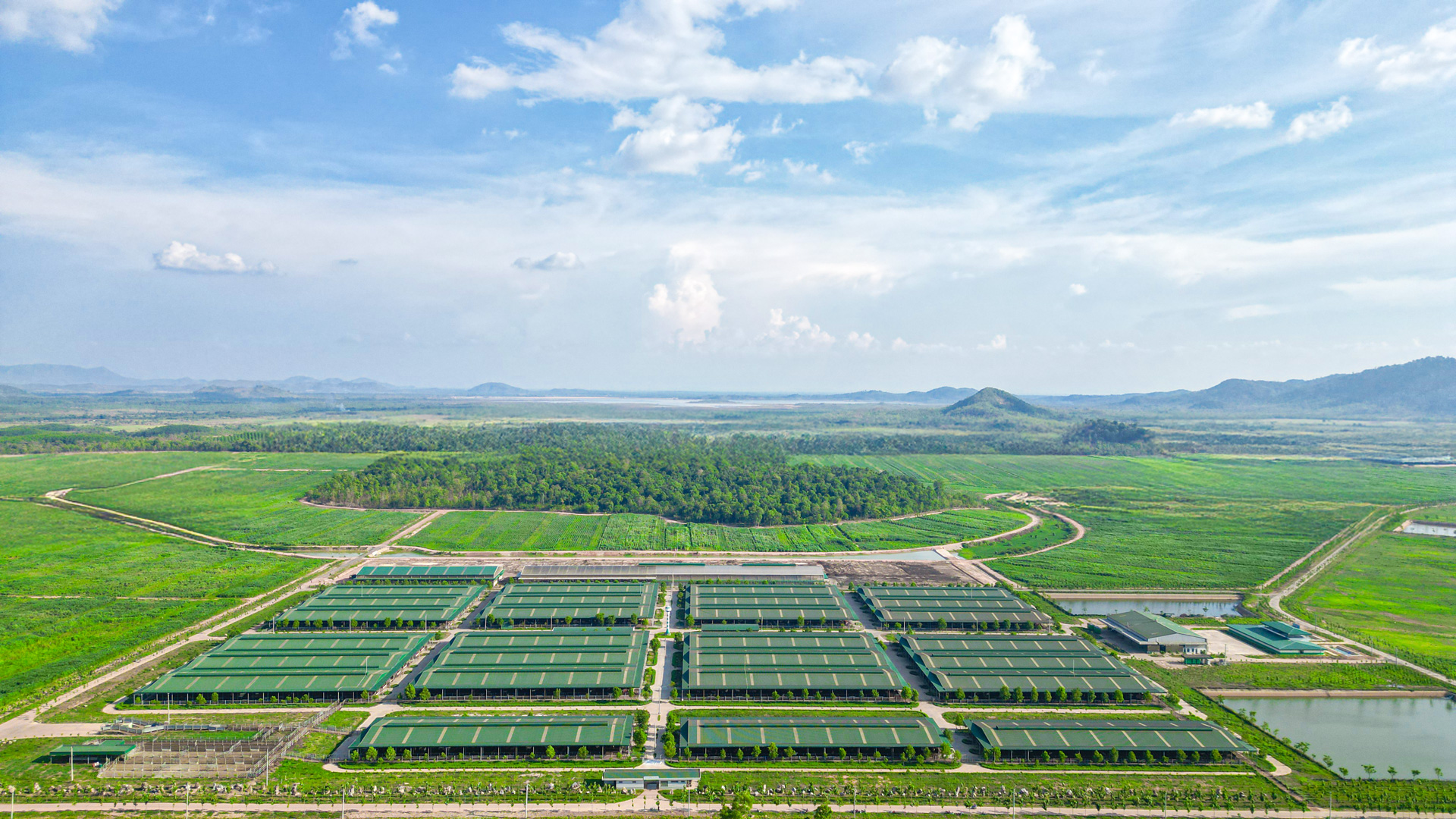 Dự án trang trại chăn nuôi bò thịt của THACO AGRI tại xã Ia Puch, tỉnh Gia Lai.