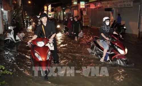 TP. HCM chủ động ứng phó triều cường vượt báo động 3