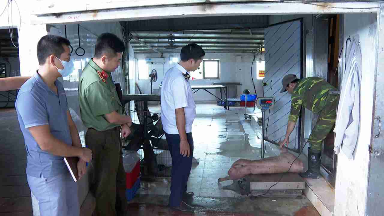Lực lượng chức năng kiểm tra cơ sở chăn nuôi Đồng Kênh, nơi lợn nhiễm dịch tả bị giết mổ và bán ra thị trường. (Ảnh: Công an tỉnh Hưng Yên)