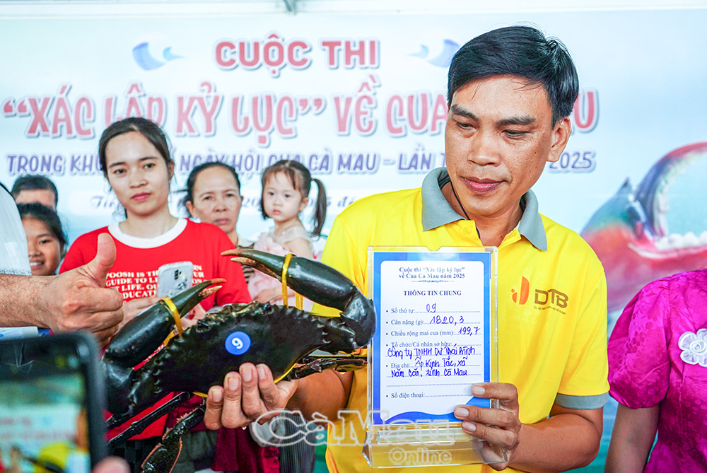 Cua Cà Mau nặng hơn 1,8 kg giành ngôi quán quân cuộc thi “Xác lập kỷ lục”