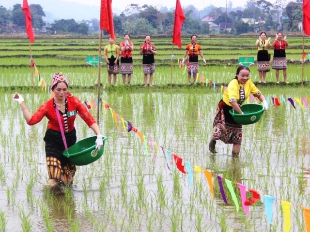 Nghệ An triển khai hơn 260 mô hình tạo sinh kế cho hộ nghèo, cận nghèo. (Trong ảnh: Đồng bào Thái xã Châu Hạnh, huyện Quỳ Châu thực hành Lễ hội Lồng tồng đầu năm. Ảnh: Lữ Nghĩa)