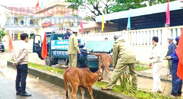 Việc ra quân cao điểm lần này của lực lượng chức năng phường Liên Chiểu, TP. Đà Nẵng rất được người dân ủng hộ và đông thuận.
