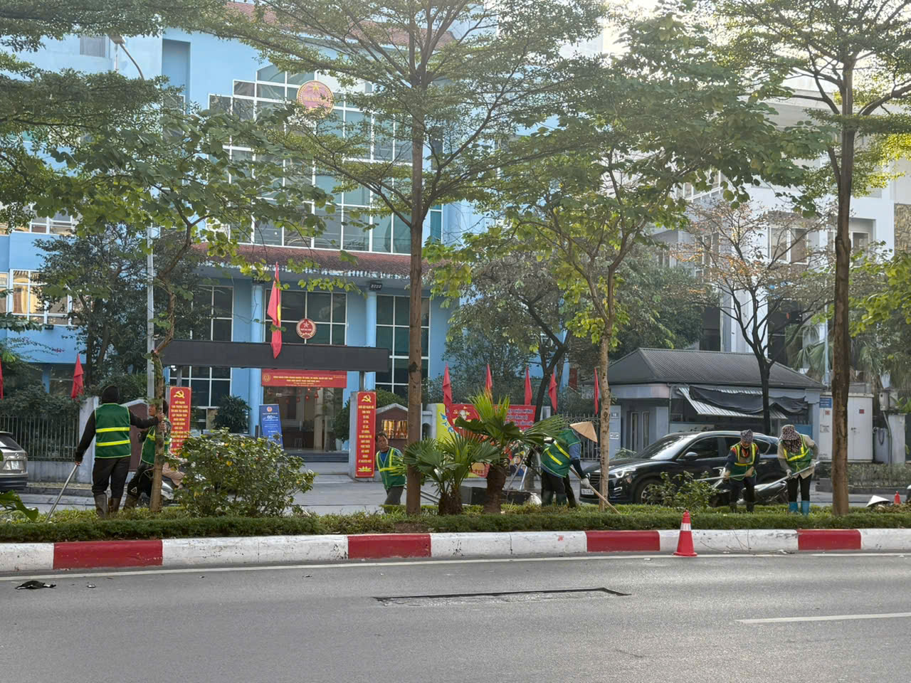 Hà Nội đẩy mạnh trồng cây mùa đông để chuẩn bị cảnh quan Tết