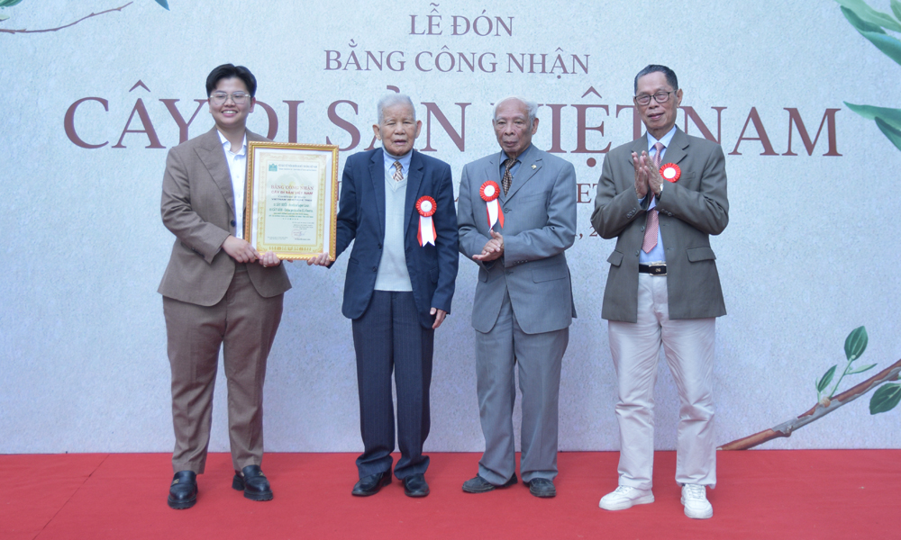 Hội Bảo vệ Thiên nhiên và Môi trường Việt Nam trao Bằng công nhận 12 cây di sản cho đại diện Khu nghỉ dưỡng Senna Wellness Retreat.