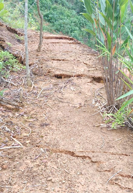 Địa bàn xã Avương xuất hiện nhiều điểm nứt, có nguy có sạt lở cao. Địa bàn xã Avương xuất hiện nhiều điểm nứt, có nguy có sạt lở cao.