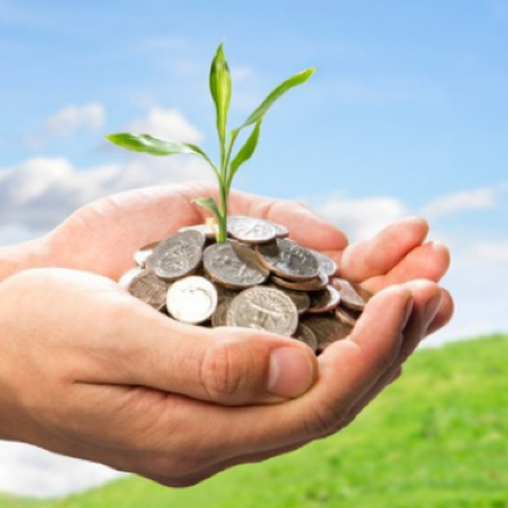 Ảnh minh họa Ảnh minh họa