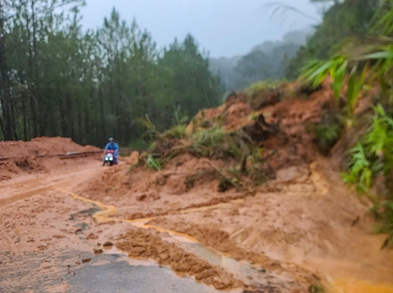 Lâm Đồng khẩn trương khắc phục sạt lở trên Quốc lộ 27C
