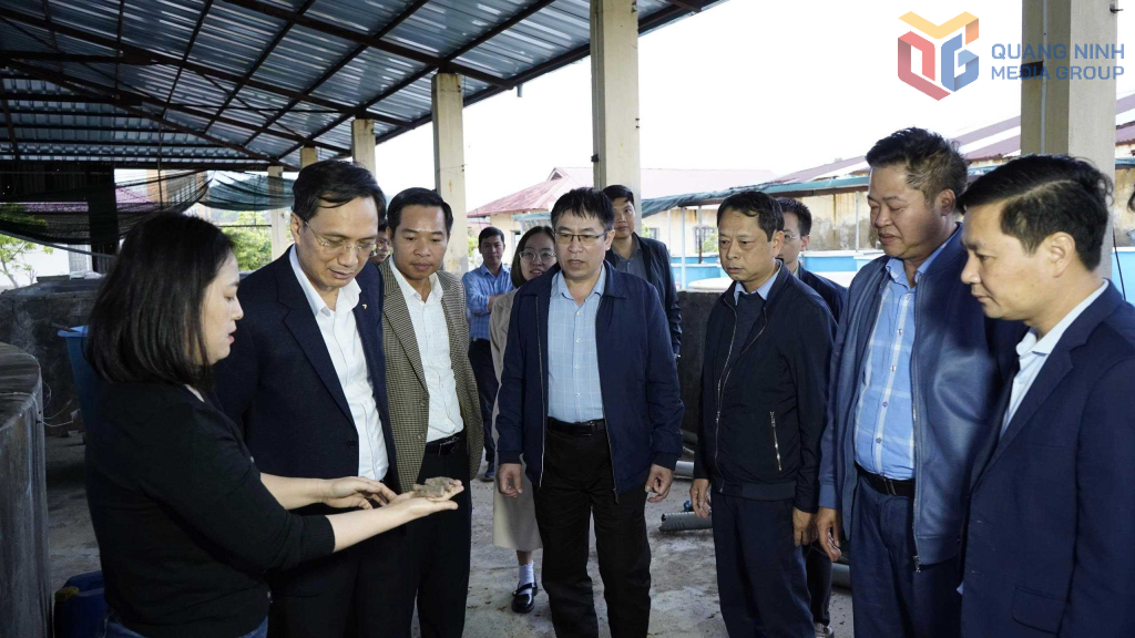 Đoàn công tác Sở Khoa học và Công nghệ tỉnh Quảng Ninh chủ trì thăm mô hình nuôi thương phẩm sá sùng. Đoàn công tác Sở Khoa học và Công nghệ tỉnh Quảng Ninh chủ trì thăm mô hình nuôi thương phẩm sá sùng.