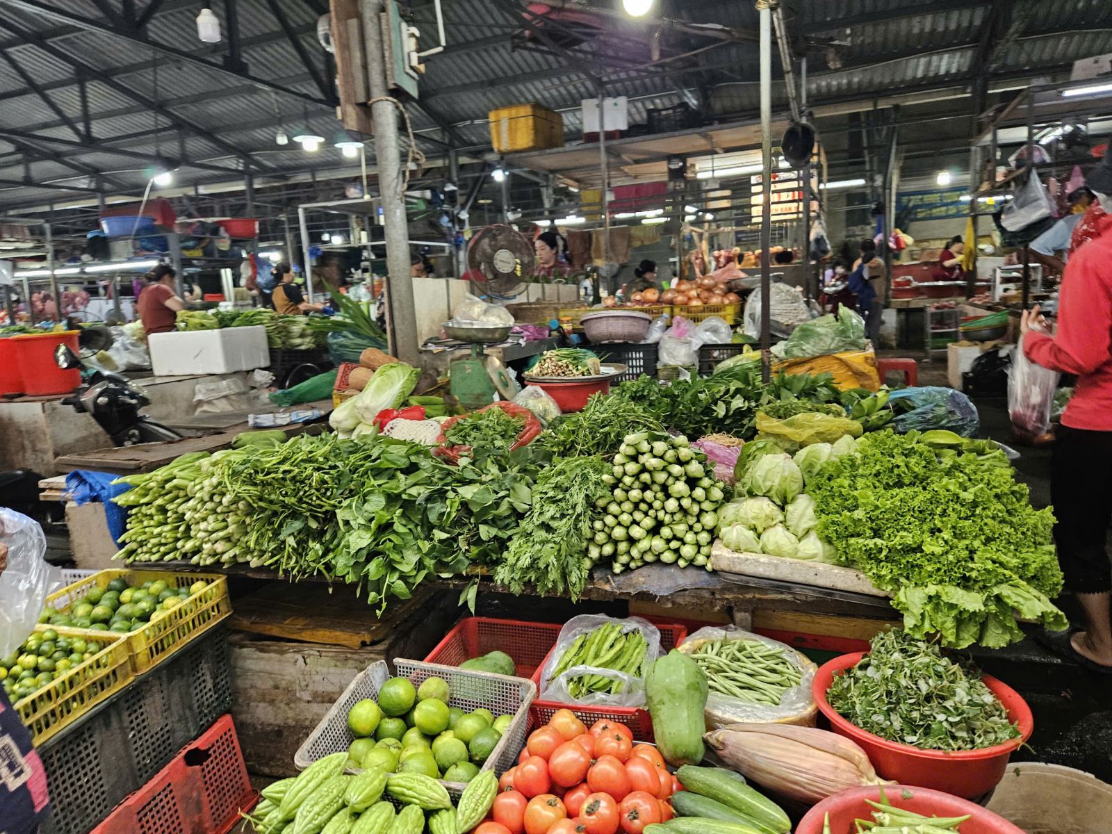 Nguồn hàng miền Trung dần phục hồi sau lũ, TP Hồ Chí Minh tiếp tục đợt tăng giá rau mạnh