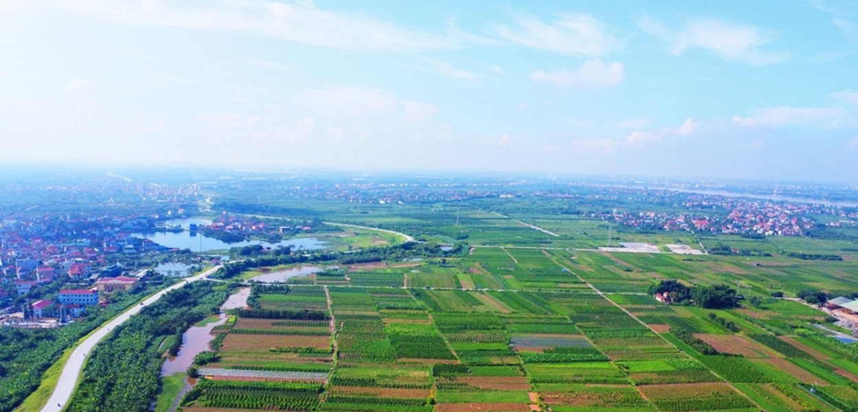 Dự án Trump International Hưng Yên Dự án Trump International Hưng Yên