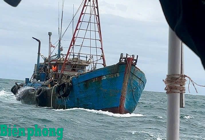 Lâm Đồng: Đề nghị phạt 100 triệu đồng và tước chứng chỉ 2 thuyền trưởng khai thác giã cào ven bờ