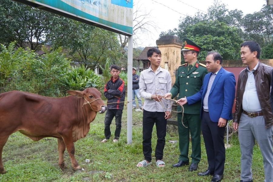 Đại diện Đoàn Kinh tế - Quốc phòng 79 và chính quyền xã Kim Ngân bàn giao bò giống sinh sản cho hộ nghèo.