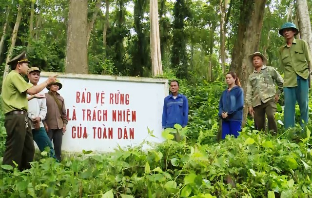 Nghệ An: Hơn 202.000 ha rừng đã được giao cho người dân