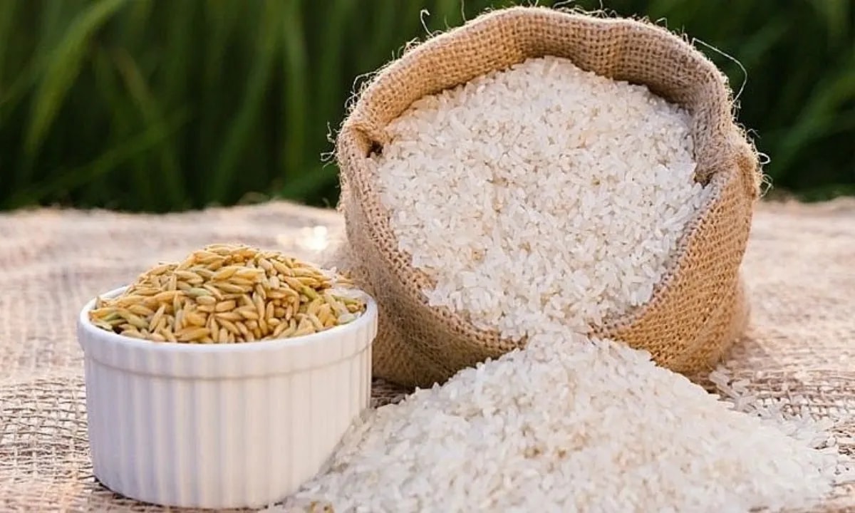 Giá lúa gạo hôm nay 26/11: Thị trường lúa vững giá, gạo bình ổn. (Ảnh minh họa) Giá lúa gạo hôm nay 26/11: Thị trường lúa vững giá, gạo bình ổn. (Ảnh minh họa)