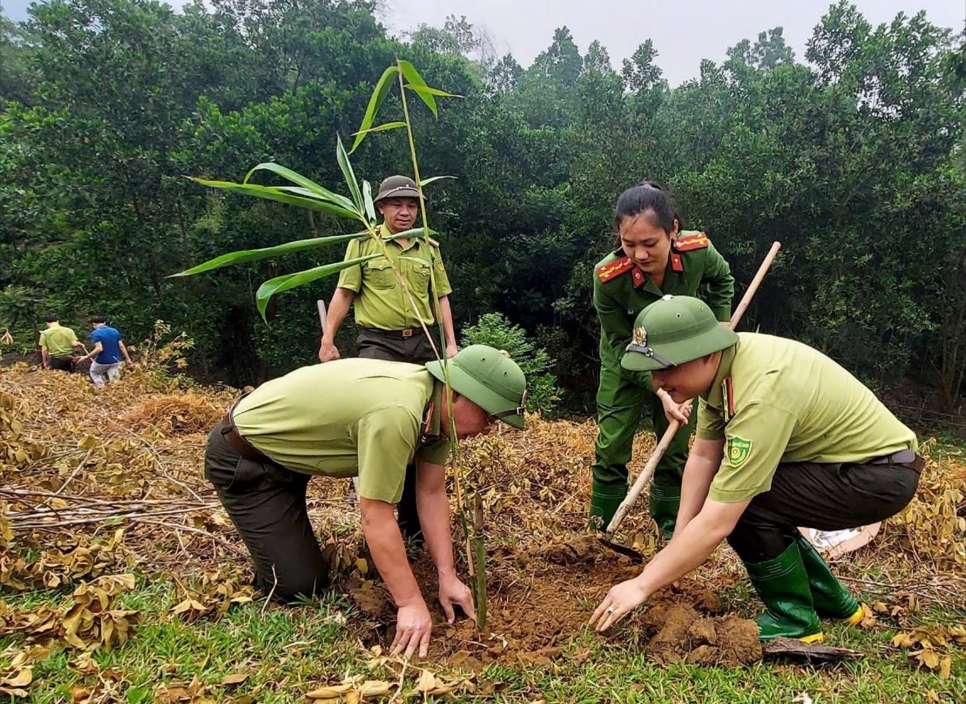 Lực lượng kiểm lâm tỉnh Lào Cai trồng rừng năm 2025.