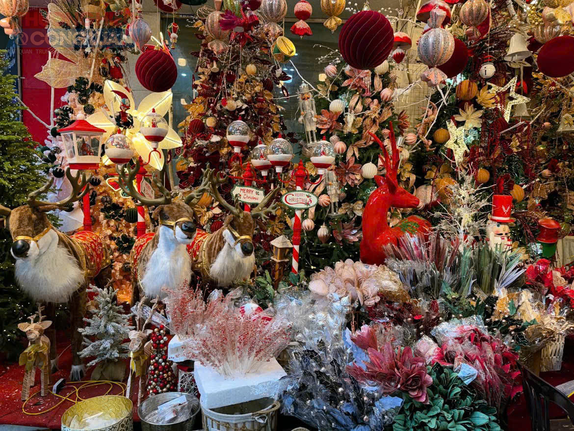 Phố Hàng Mã trước đây thuộc phường Hàng Mã, quận Hoàn Kiếm; nay trực thuộc phường Hoàn Kiếm, Hà Nội. Tuyến phố dài khoảng 339 m, từ ngã tư Hàng Đường đến phố Phùng Hưng. Đây được xem là vị trí đắc địa khi chỉ cách chợ Đồng Xuân khoảng 1 km về phía Nam và cách Hồ Gươm 700 m về phía Bắc. Tuyến phố nổi tiếng bởi kiến trúc cổ đặc trưng của phố cổ Hà Nội, thể hiện qua những ngôi nhà ống và nhà chồng diêm. Các căn nhà mặt tiền hẹp nhưng chạy sâu vào trong, tạo không gian linh hoạt cho sinh hoạt, sản xuất và buôn bán. Mỗi mùa lễ hội, tuyến phố lại khoác lên màu sắc rực rỡ theo từng chủ đề như Trung thu, Giáng sinh, Tết Nguyên đán…