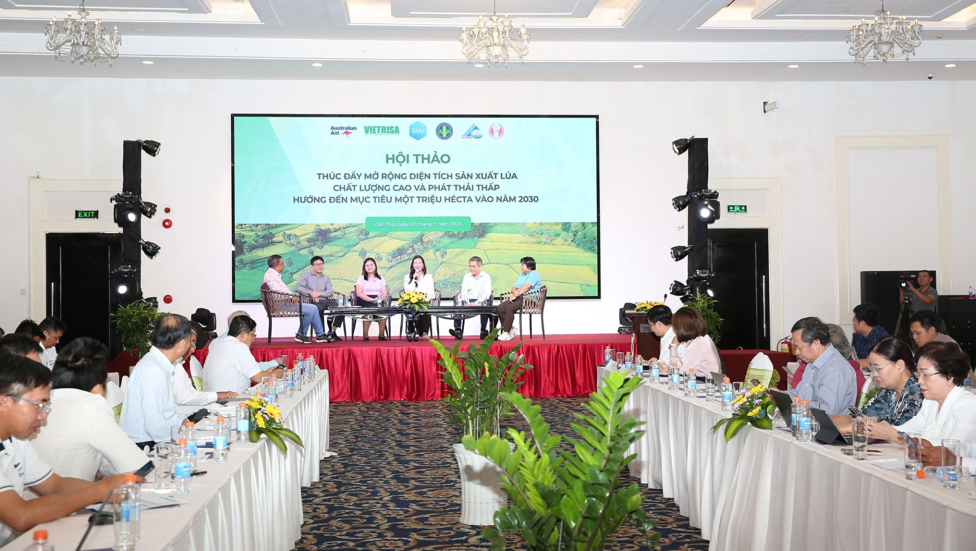 Tính tới kết thúc vụ Hè Thu 2025, quy mô diện tích tham gia Đề án đã đạt 354.839 ha, vượt 197% so với mục tiêu đề ra. (Ảnh: chinhphu.vn)