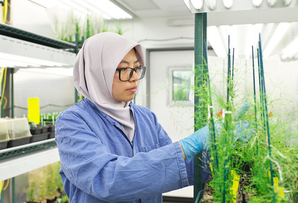 Các nhà khoa học hàng đầu thế giới hiến kế nuôi sống 10 tỷ người tại Tuần lễ Khoa học Công nghệ VinFuture 2025