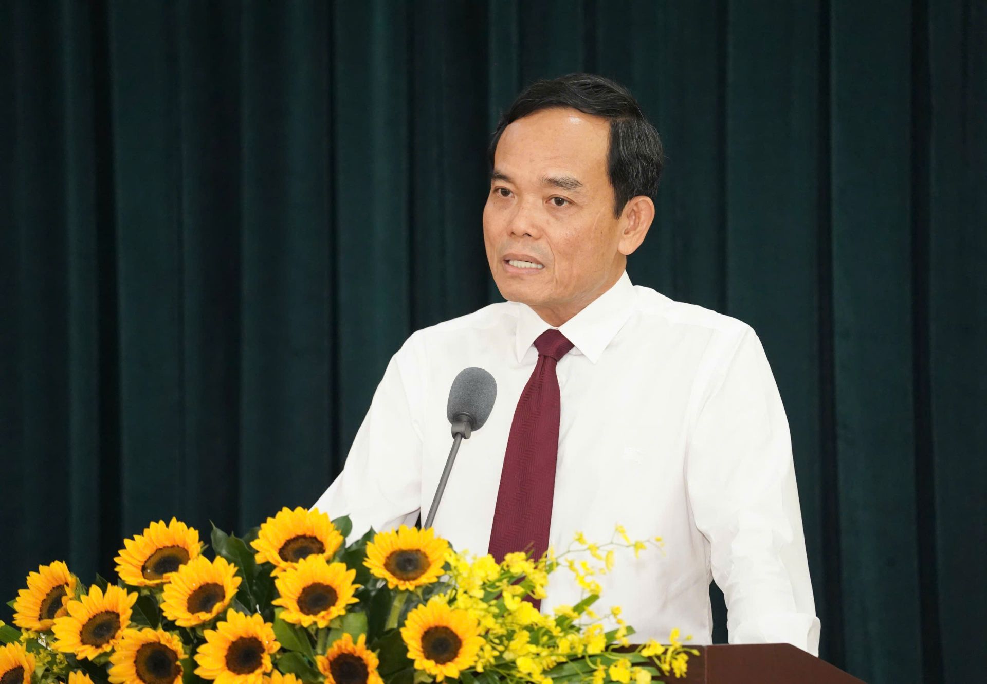 Bí thư Trần Lưu Quang làm Trưởng Ban Chỉ đạo phát triển mạng lưới đường sắt TP. HCM