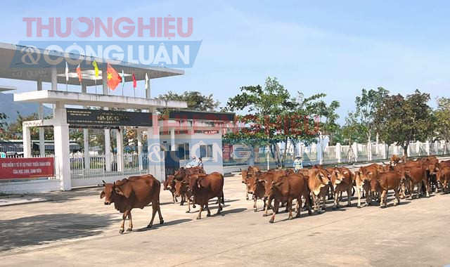 Trường THCS Đàm Quang Trung, khu đô thị sinh thái Golden Hills.