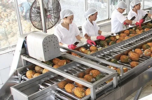 Afiex sẽ chính thức giao dịch trên HOSE vào ngày 8/12