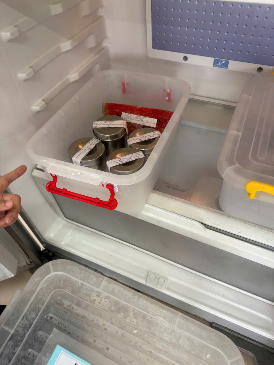 Nhà trường thực hiện lưu mẫu từng món ăn trong ngày theo đúng quy định để phục vụ truy xuất khi cần thiết. Nhà trường thực hiện lưu mẫu từng món ăn trong ngày theo đúng quy định để phục vụ truy xuất khi cần thiết.