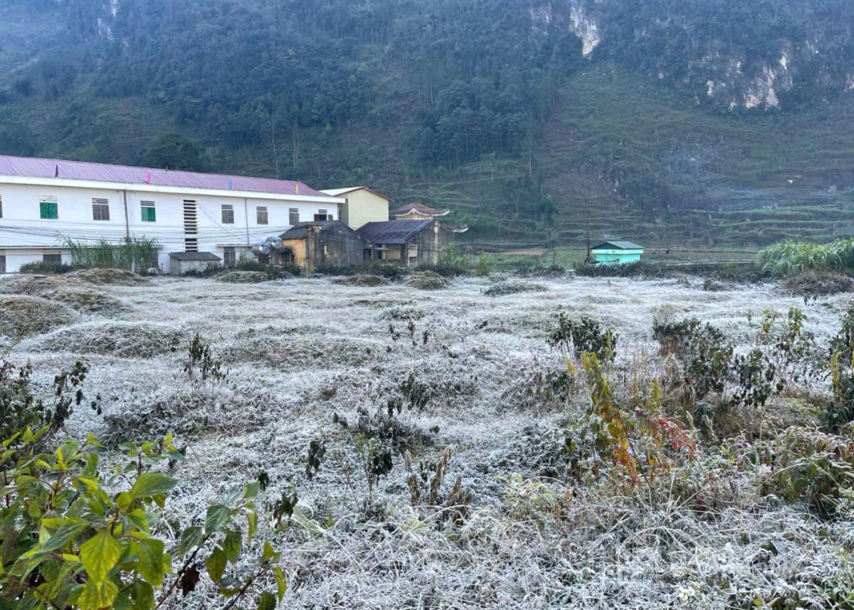 Băng giá xuất hiện tại nhiều xã vùng cao Tuyên Quang