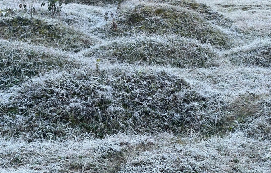 Dự kiến băng giá có thể xuất hiện tại vùng cao Tuyên Quang trong những ngày tới do nền nhiệt thấp.